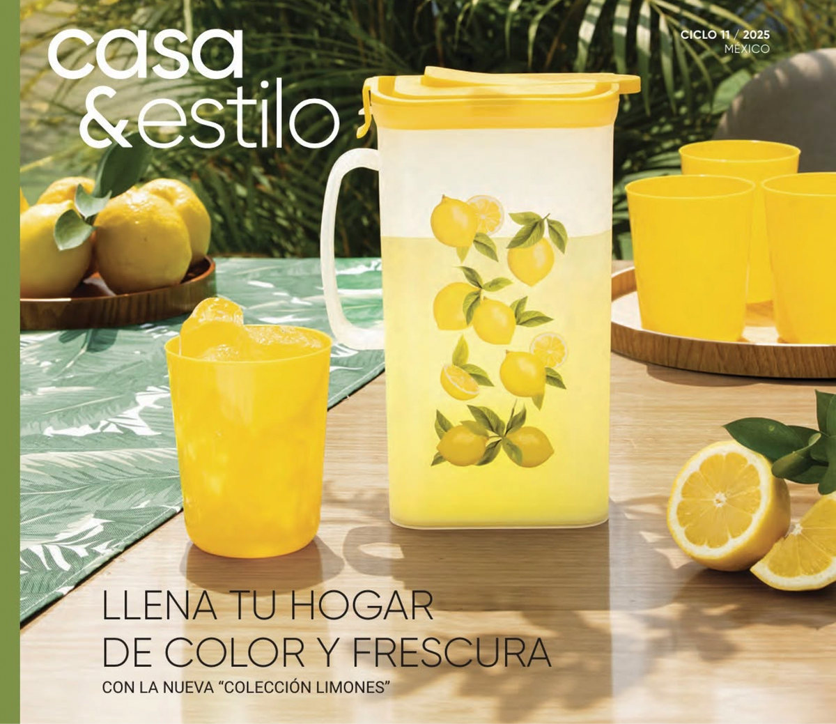 Casa & Estilo catalog cover with a lemon-print pitcher and glasses